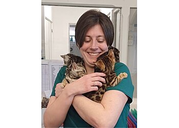 Bold Veterinary Clinic