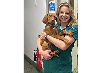 Bold Veterinary Clinic