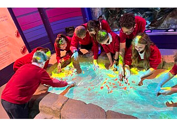 Boothferry Primary School