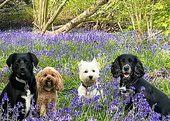 Watford dog walkers Boots & Bark image 1