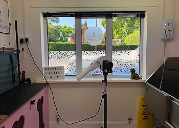 Borras Barks Dog Grooming