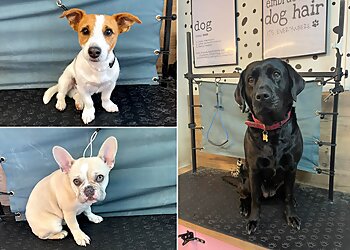 Borras Barks Dog Grooming