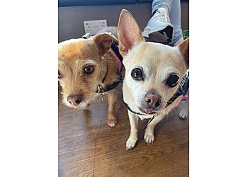 Vets for Pets Bournemouth