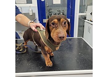 Vets for Pets Bournemouth
