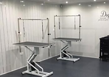 Bow-Wow Boutique and Spa