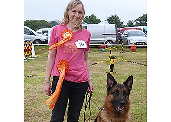 Bowow! Dog Training Club
