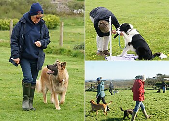 Bowow! Dog Training Club