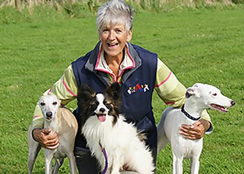 Cornwall dog trainers Bowow! Dog Training Club image 1