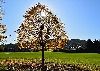 Bowring District Park