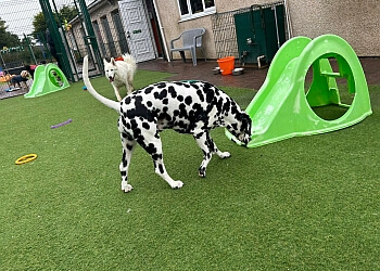 Brackenhirst Kennels