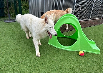 Brackenhirst Kennels