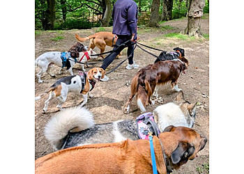 Bradford Pet Care Bradford Pet Care