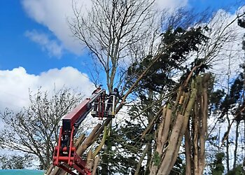 Branching Out Oxford