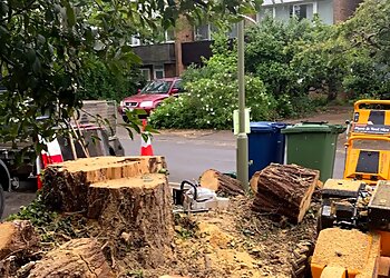 Branching Out Oxford