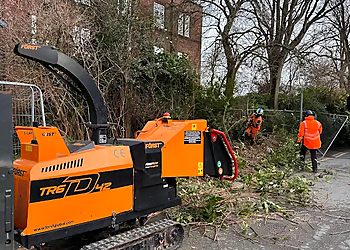 BreArb Tree Services