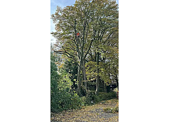 BreArb Tree Services BreArb Tree Services