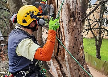 Brett Bain Tree Services