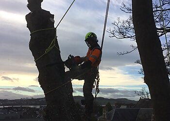 Brett Bain Tree Services