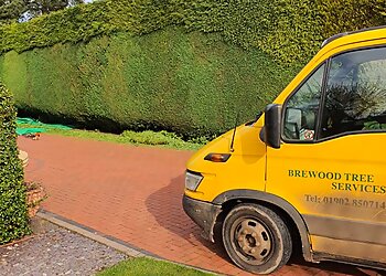 Stafford tree services Brewood Tree services image 1