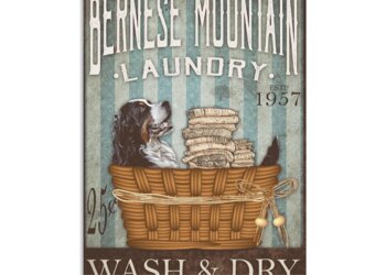 Bridge Street Laundry