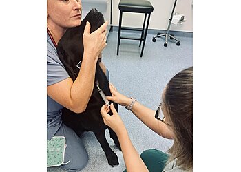 Bridge Veterinary Group Middlesbrough