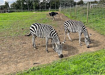 Bridlington Animal Park
