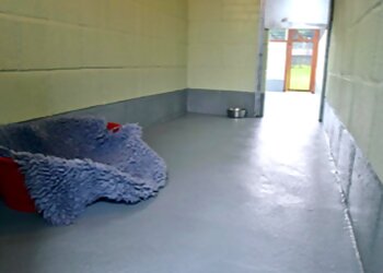 Brightlingsea Boarding Kennels & Cattery