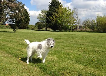 Brightlingsea Boarding Kennels & Cattery