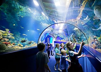 Bristol Aquarium