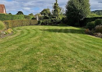 Bristol Garden Maintenance