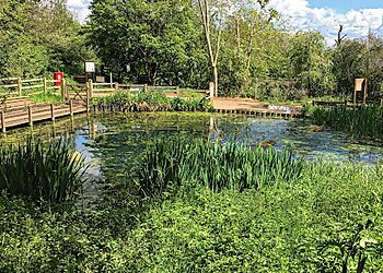 Brixworth Country Park