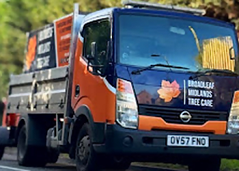 Broadleaf Midlands Tree Care