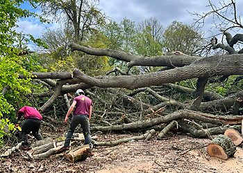 Broadleaf Tree Surgery Limited