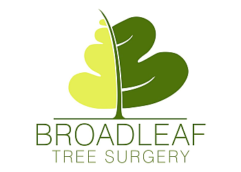 Broadleaf Tree Surgery Limited