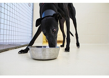 Broadmarsh Kennels and Cattery