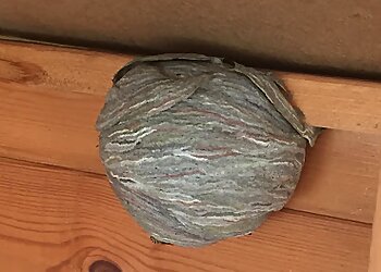 Broadsword Pest Control