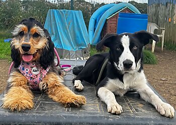 Brodie’s K9 Training