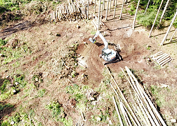 Broom Forestry & Arb Broom Forestry & Arb