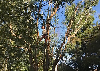 Browns Landscape Solutions LTD