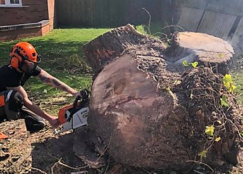 Bryan Mutter Tree Surgeon