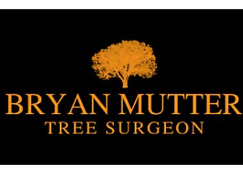 Bryan Mutter Tree Surgeon