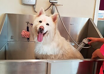 Bubbles & Barks Dog Grooming Salon