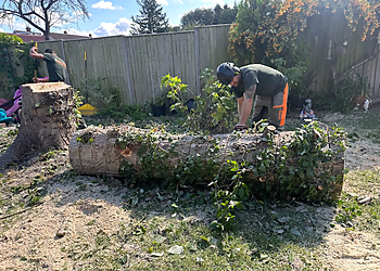 Bucks Tree Surgeons