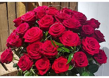 Budding Floral Designs Ltd.