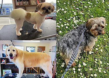 Buffy's Doggy Day Spa