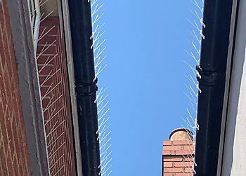 Bullseye Pest Control Ltd