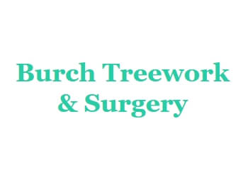 Burch Treework & Surgery Burch Treework & Surgery
