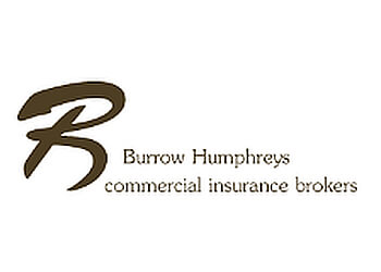 Burrow Humphreys Limited 