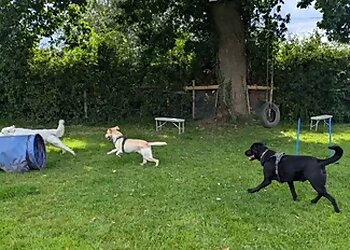 Burton-Meadow Dog Freedom Field, Training & Enrichment Facility