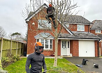 Bury Tree Surgeon